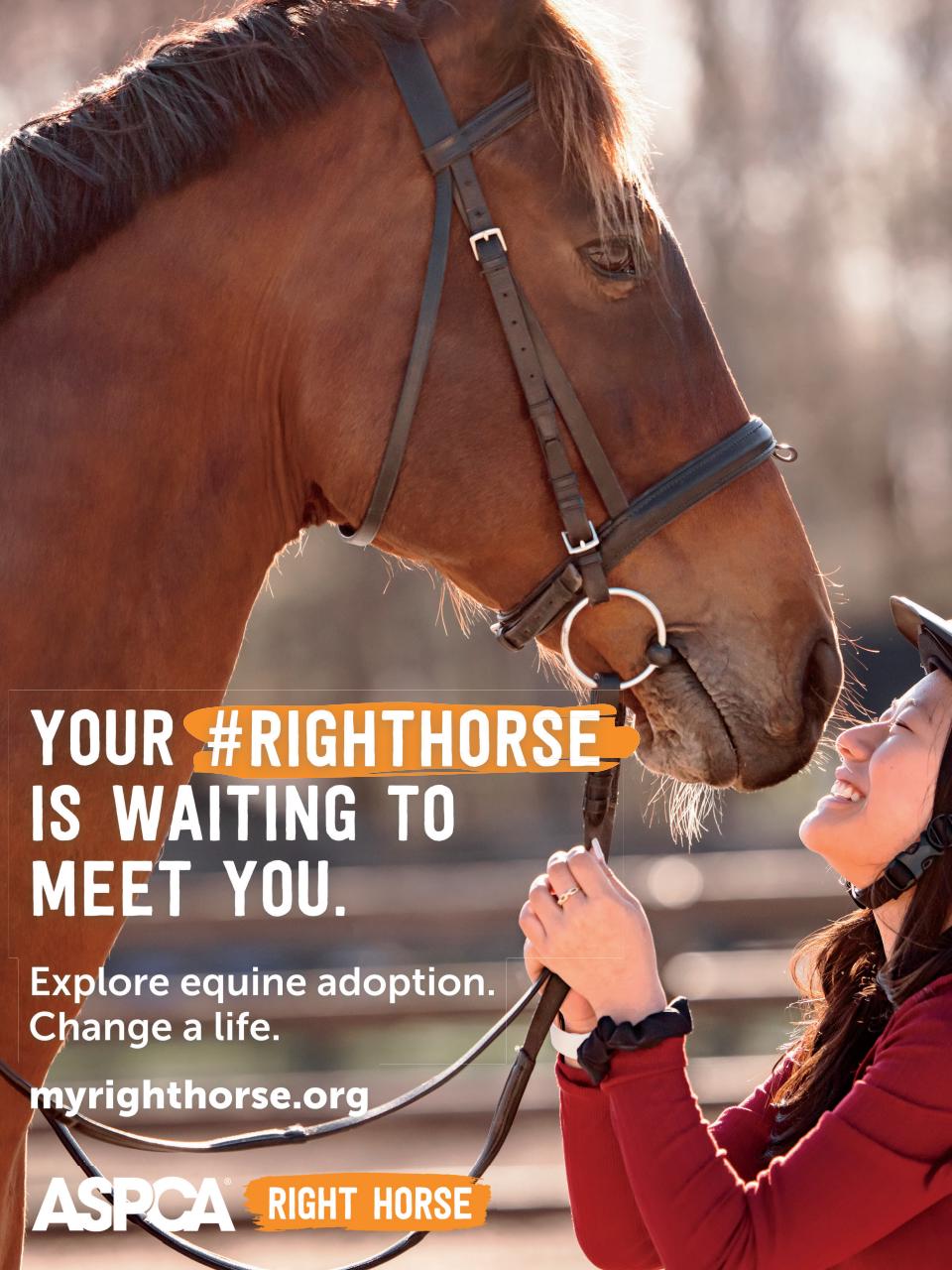 Young Rider Magazine Preview Pages