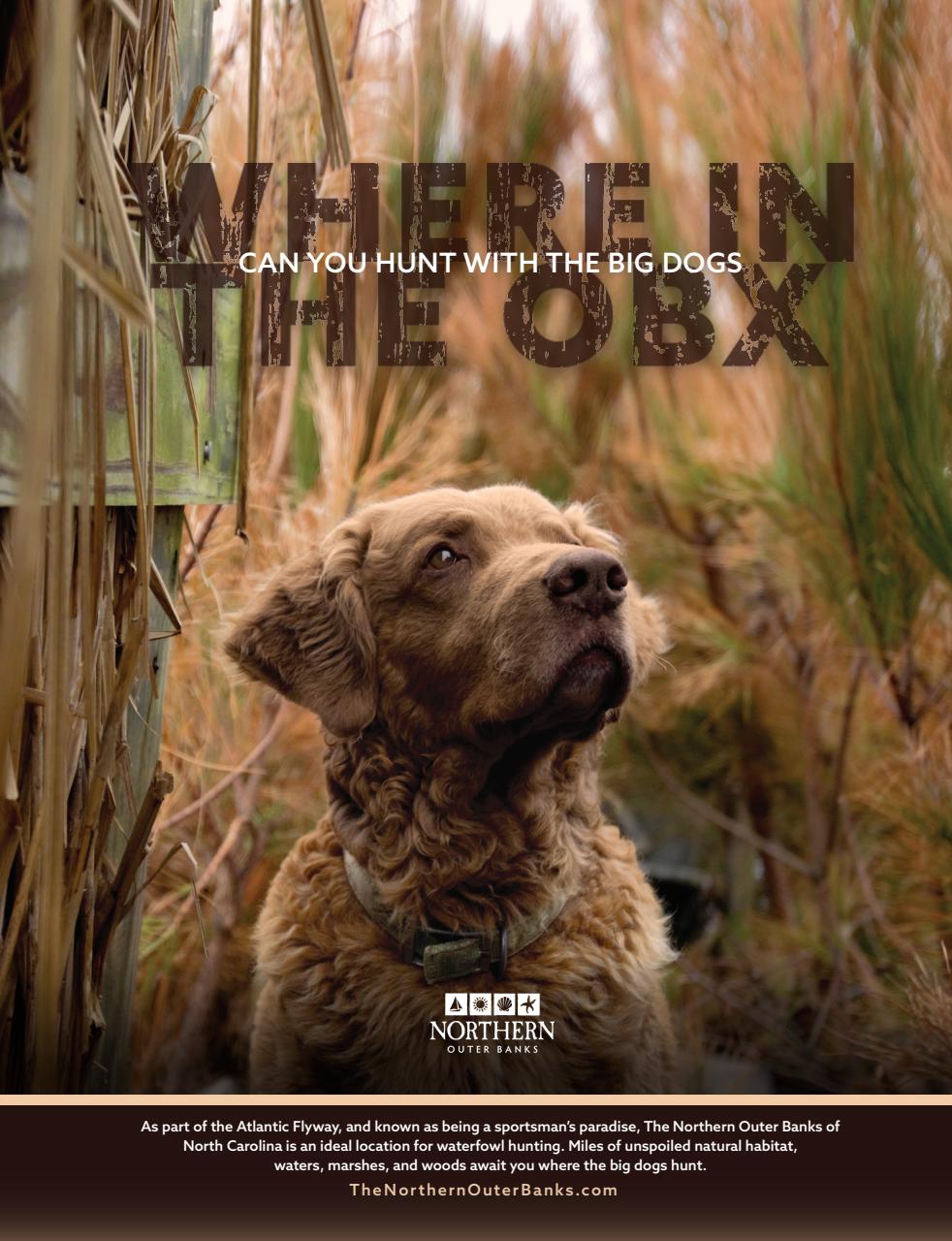 American Waterfowler Preview Pages