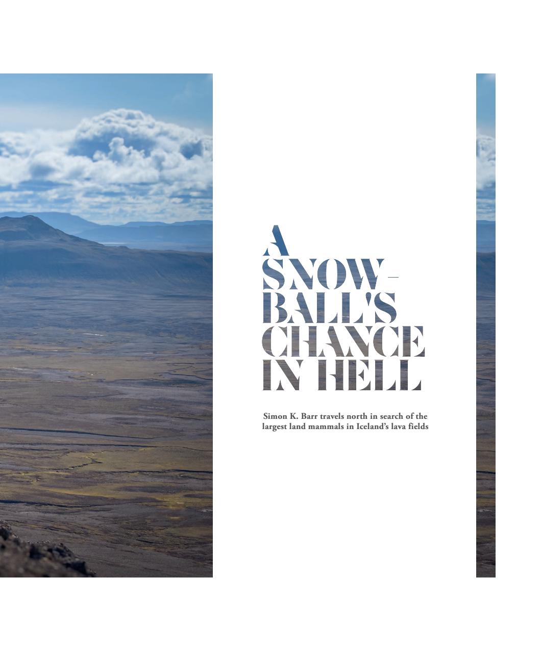 Fieldsports Journal Preview Pages