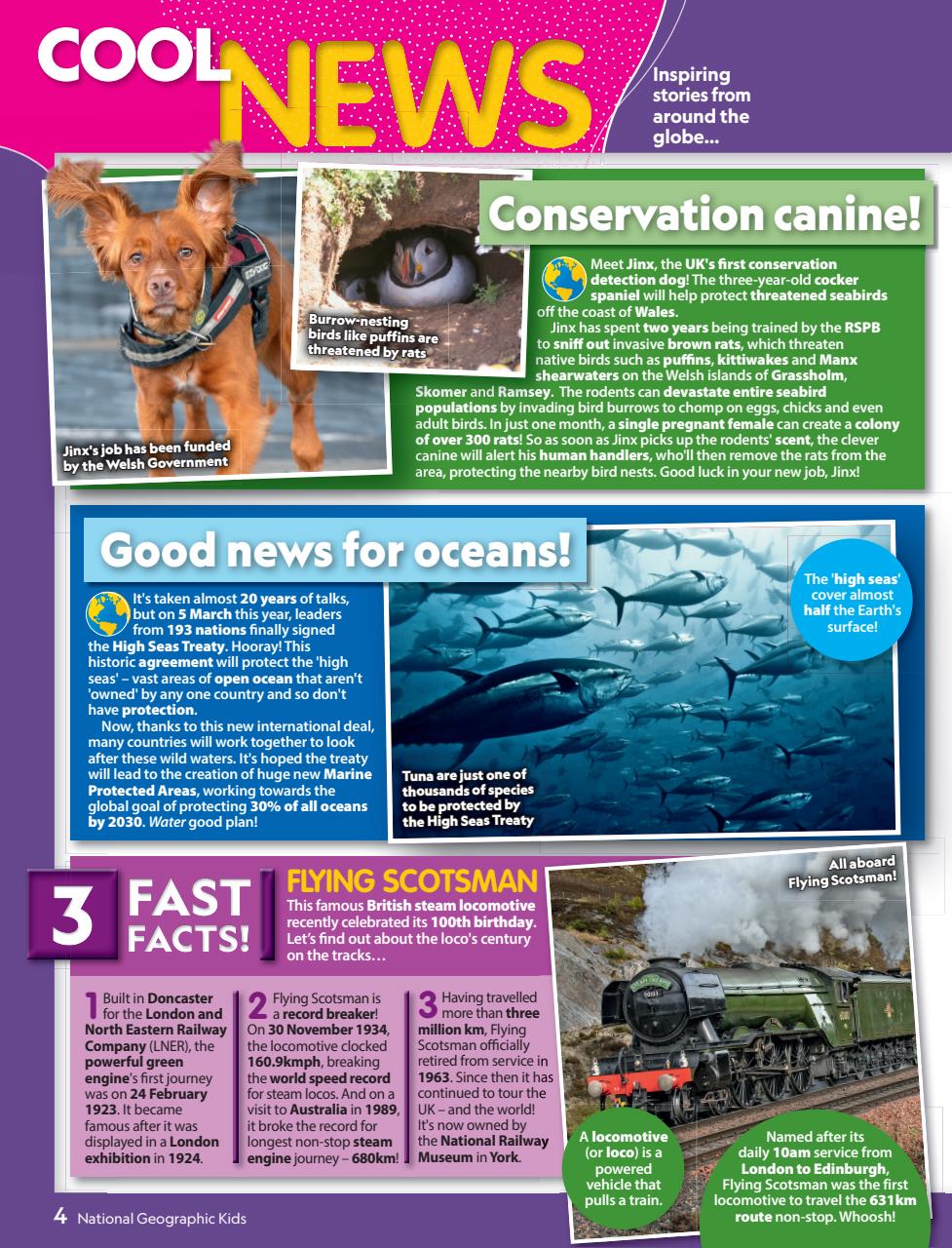National Geographic Kids Preview Pages