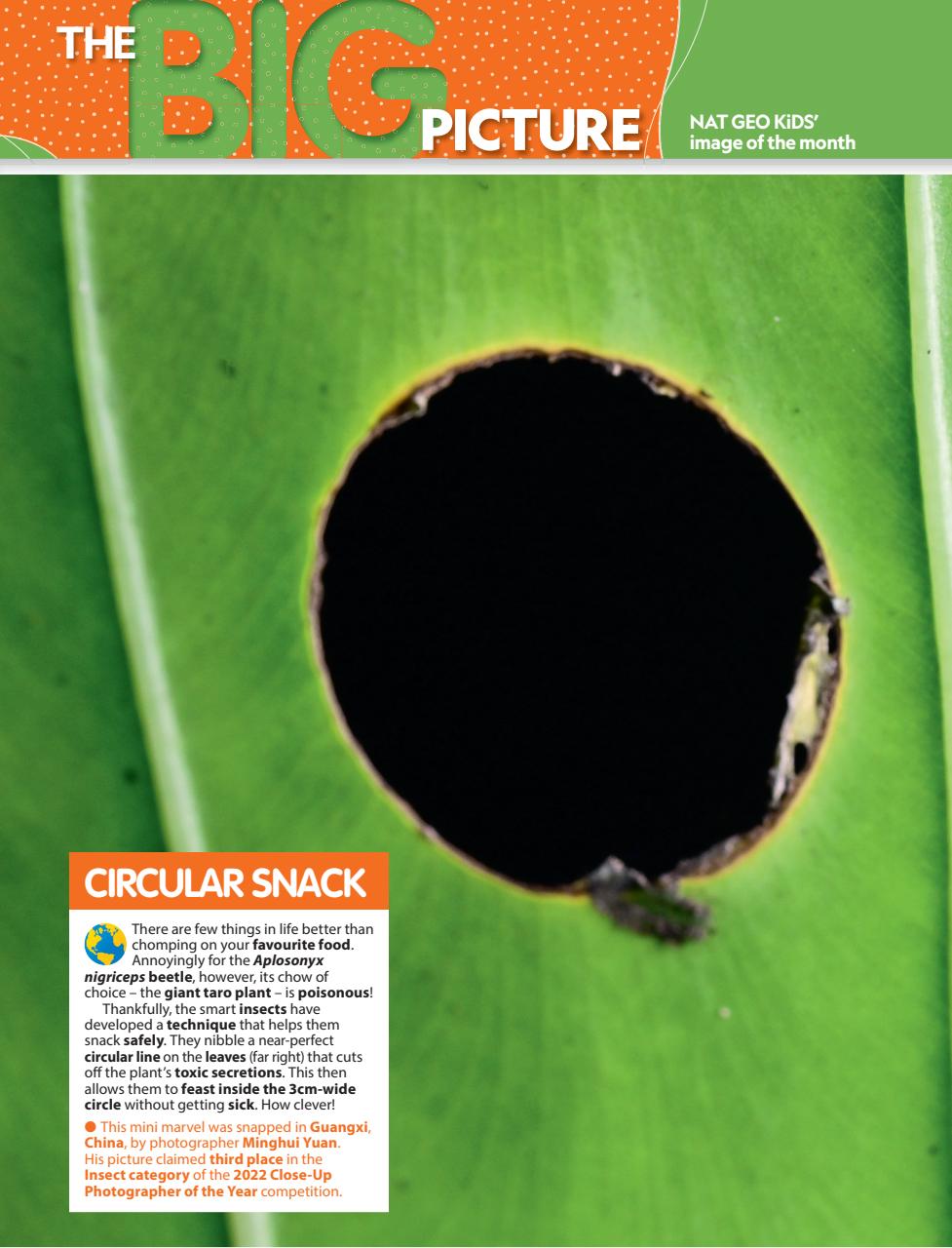 National Geographic Kids Preview Pages