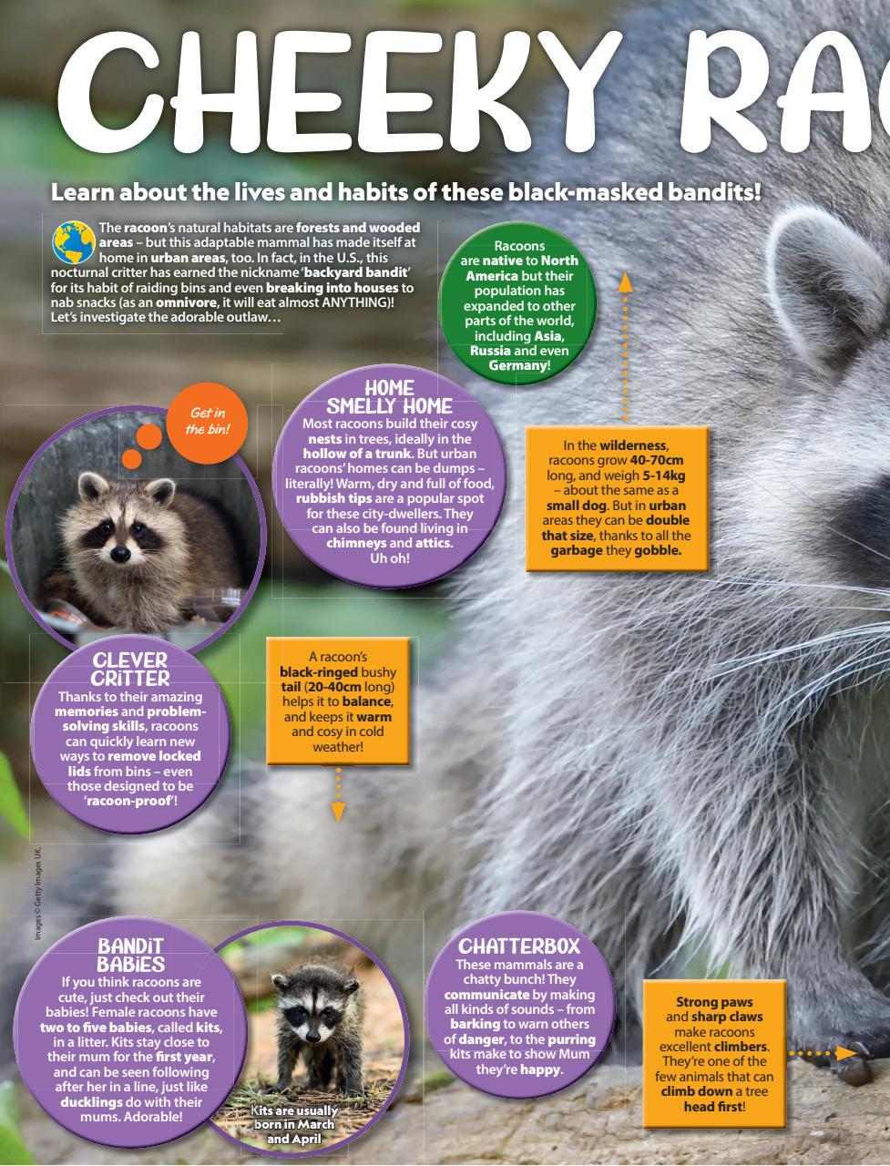 National Geographic Kids Magazine - Issue 217 Back Issue