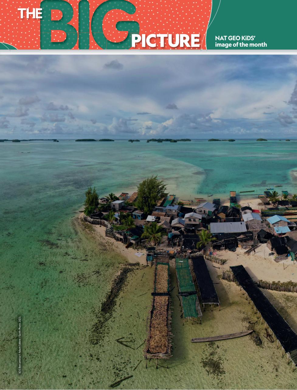 National Geographic Kids Preview Pages