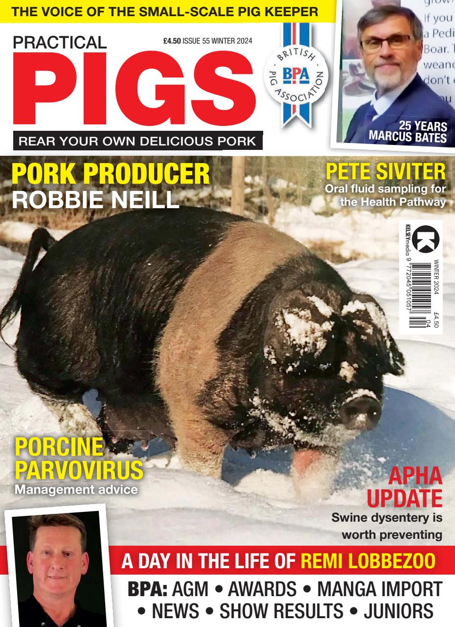 Practical Pigs Preview Pages