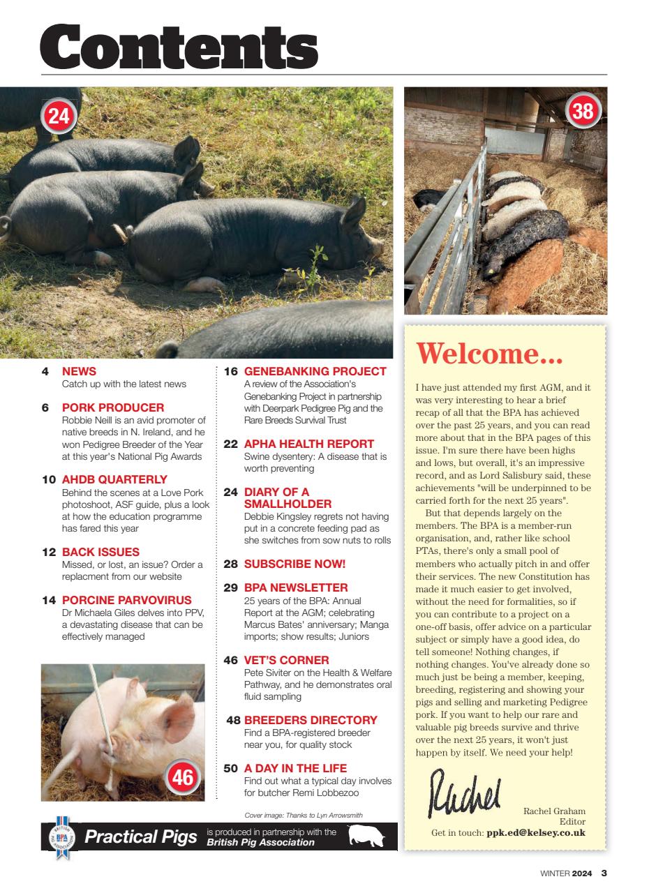 Practical Pigs Preview Pages