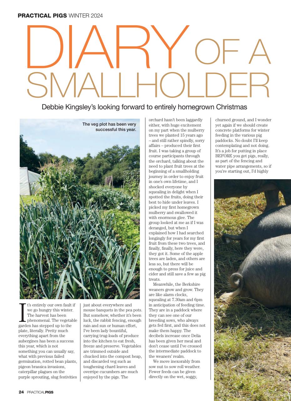 Practical Pigs Preview Pages