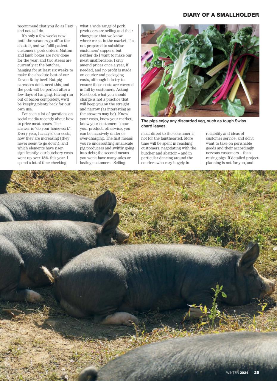 Practical Pigs Preview Pages