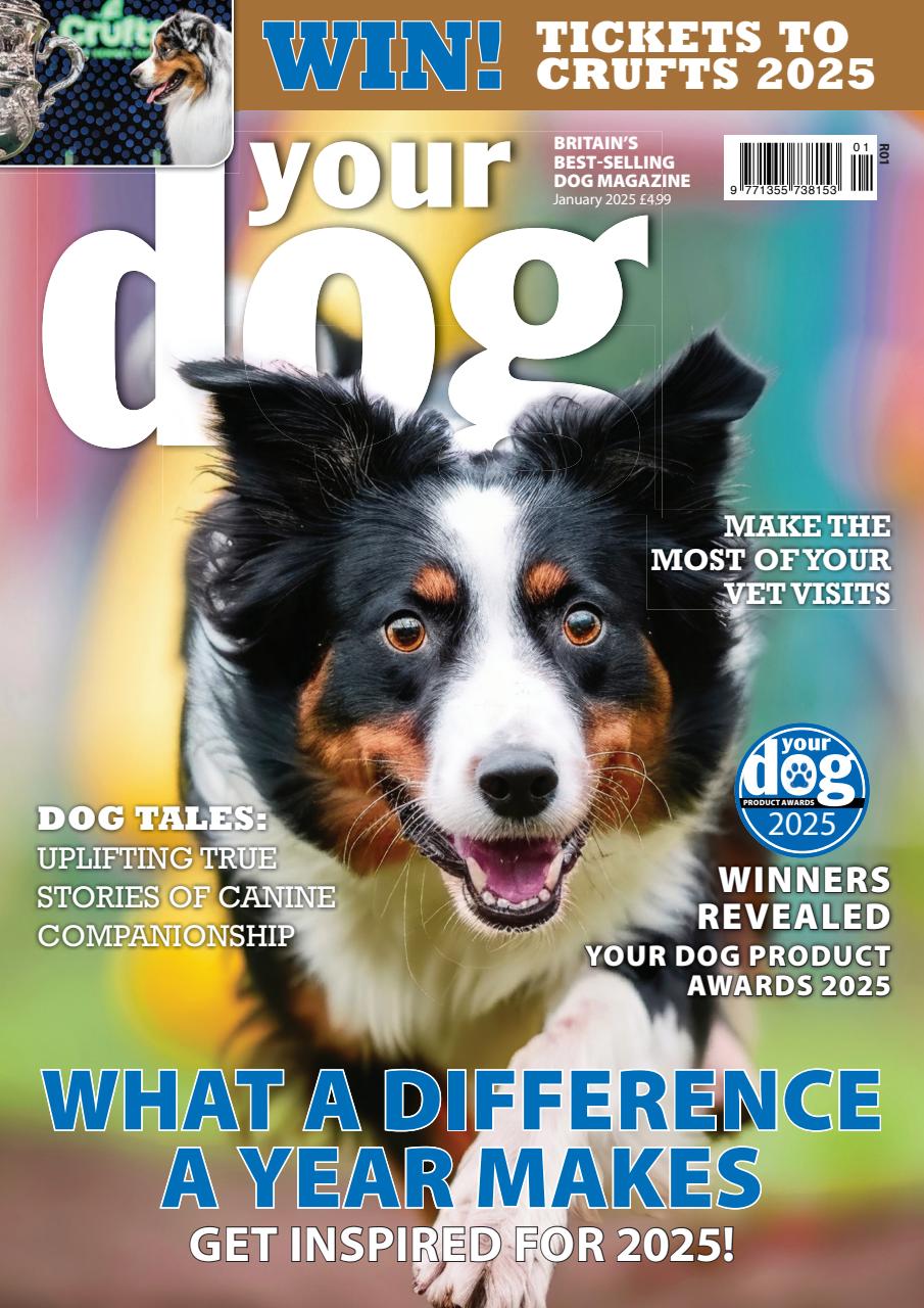 Your Dog Preview Pages
