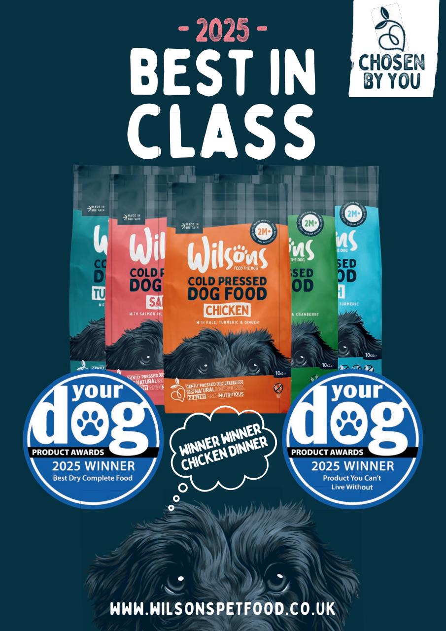 Your Dog Preview Pages