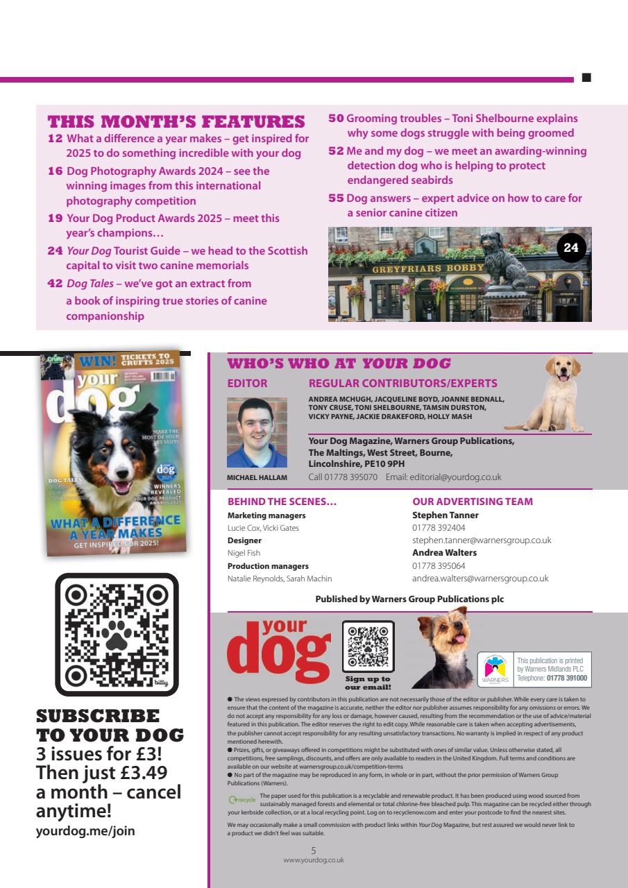 Your Dog Preview Pages