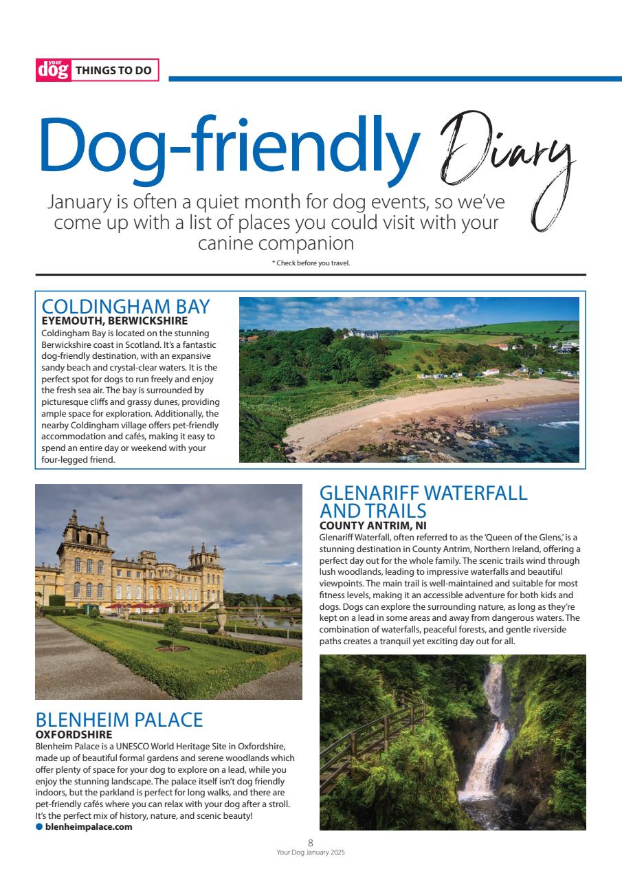 Your Dog Preview Pages