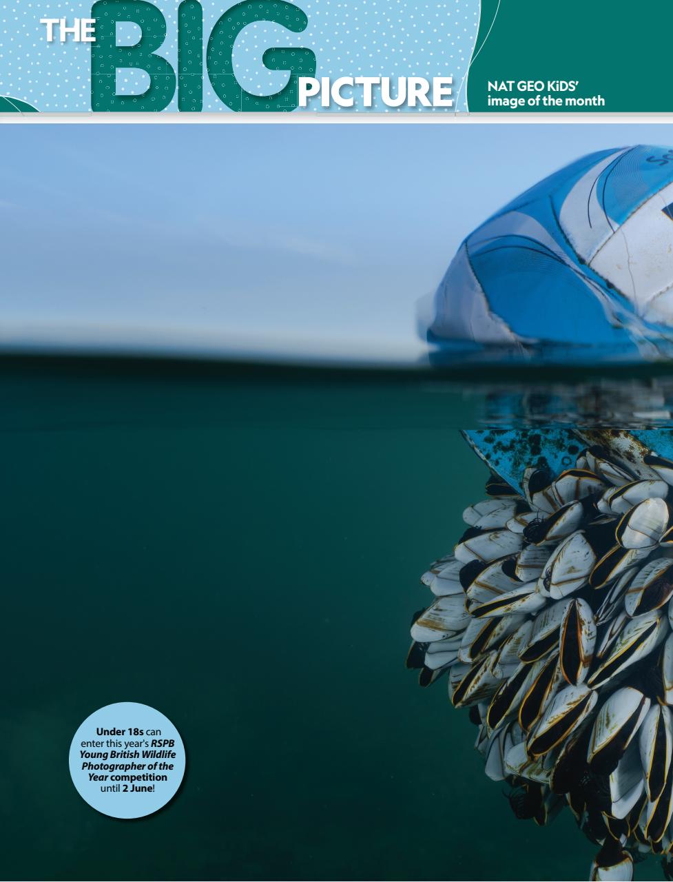 National Geographic Kids Preview Pages