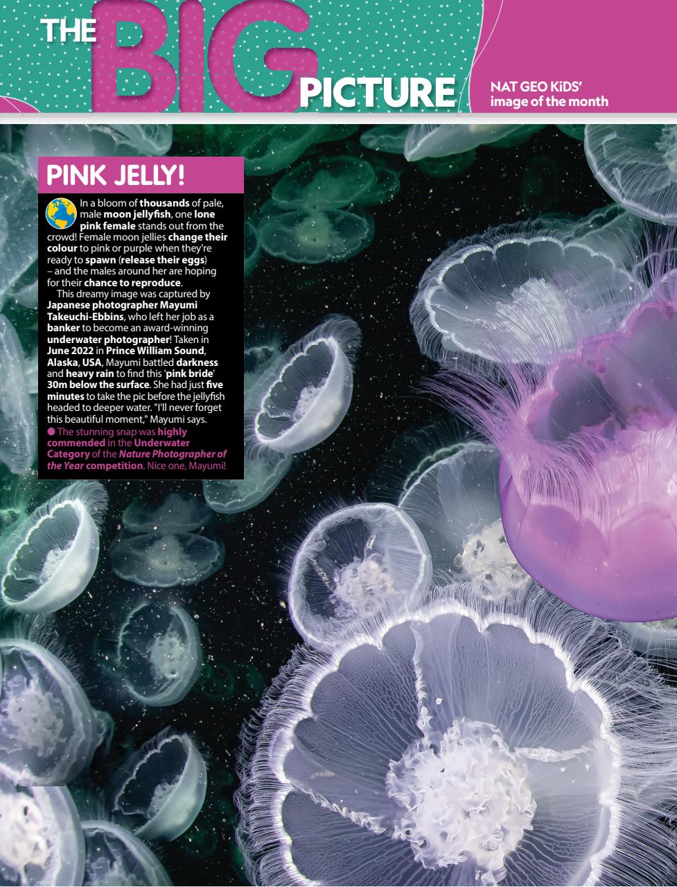 National Geographic Kids Preview Pages