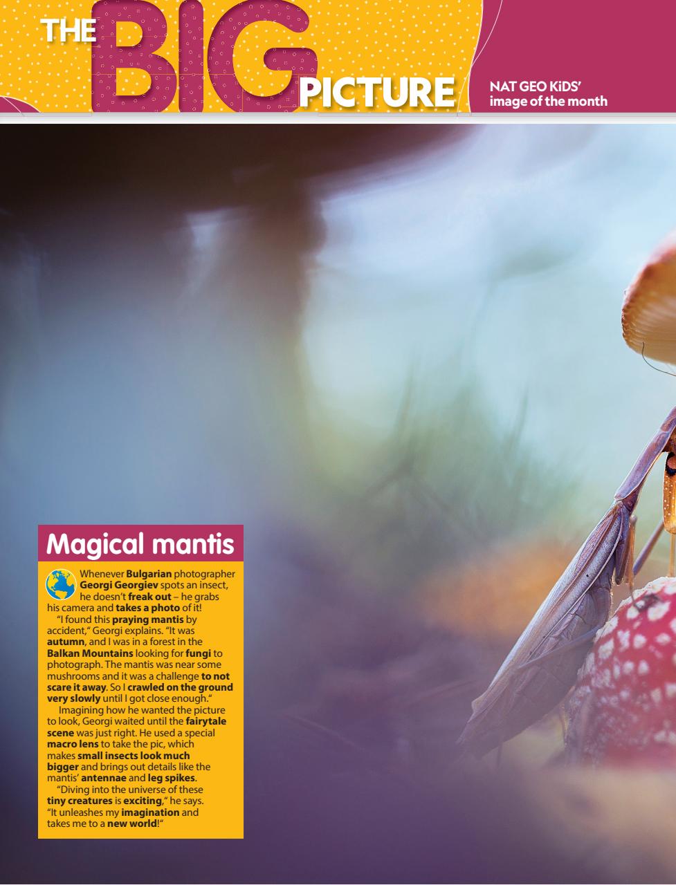 National Geographic Kids Preview Pages