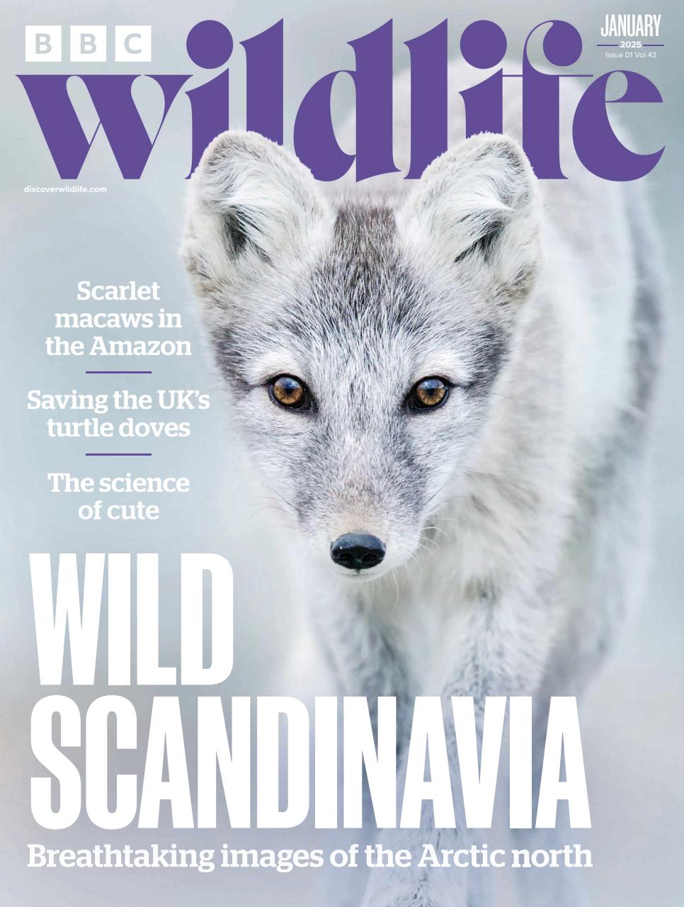 BBC Wildlife Magazine Preview Pages