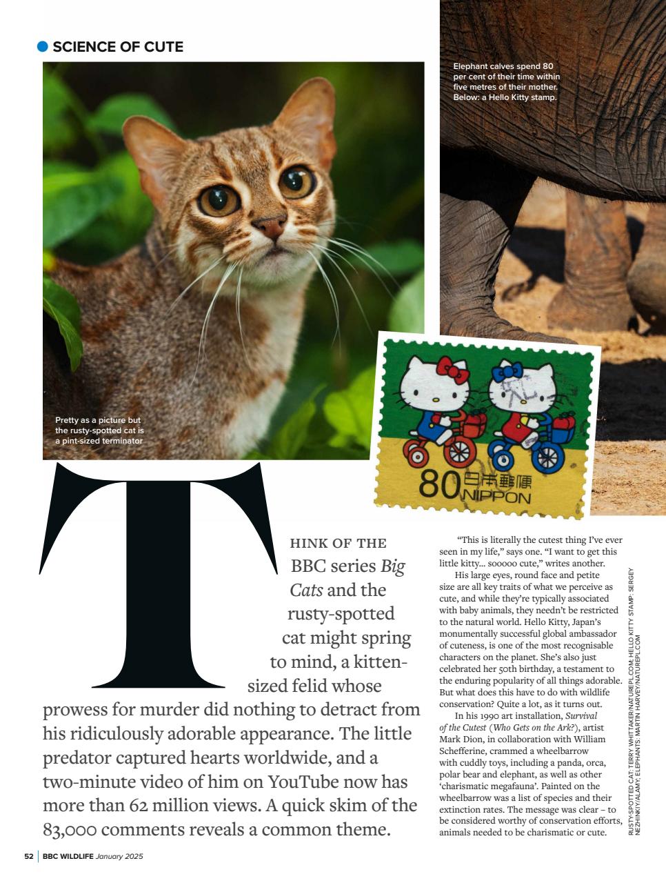 BBC Wildlife Magazine Preview Pages