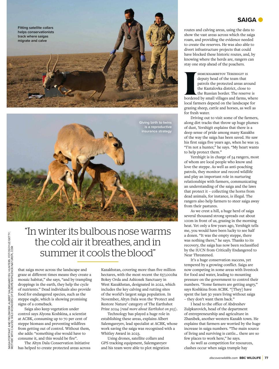 BBC Wildlife Magazine Preview Pages