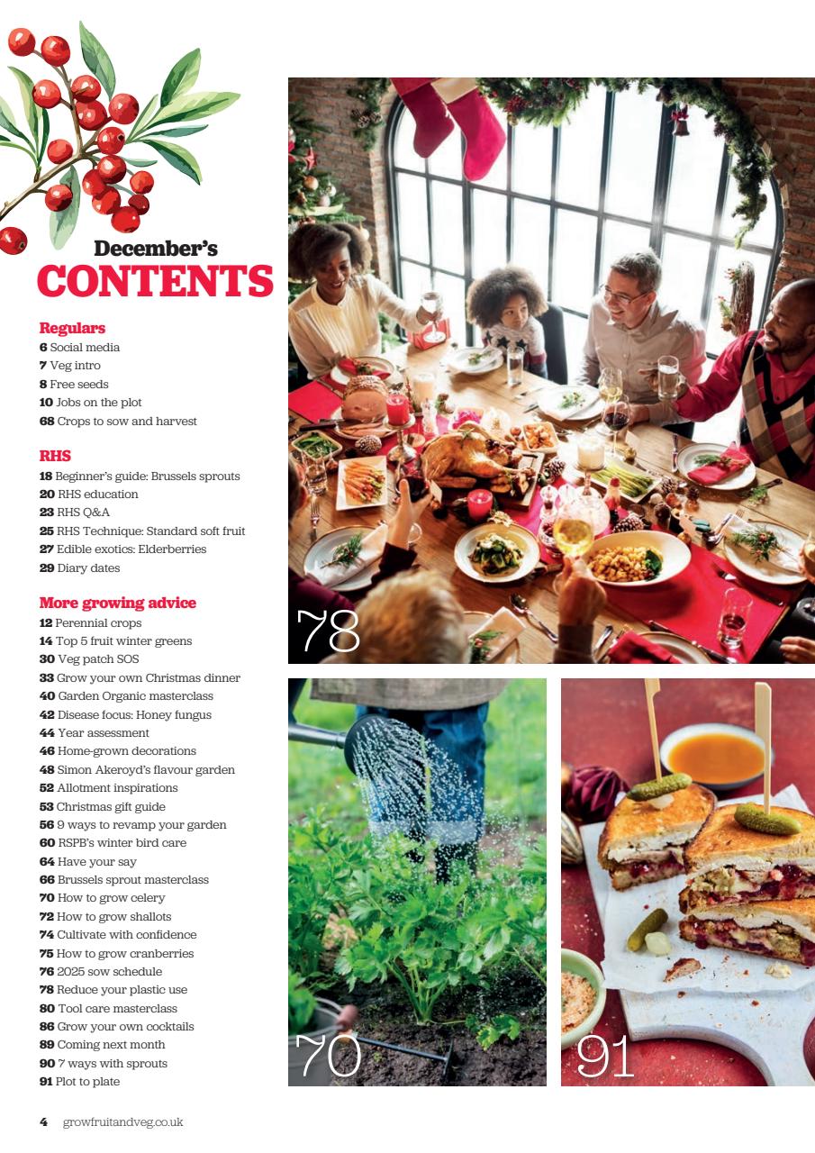 Grow Your Own Preview Pages