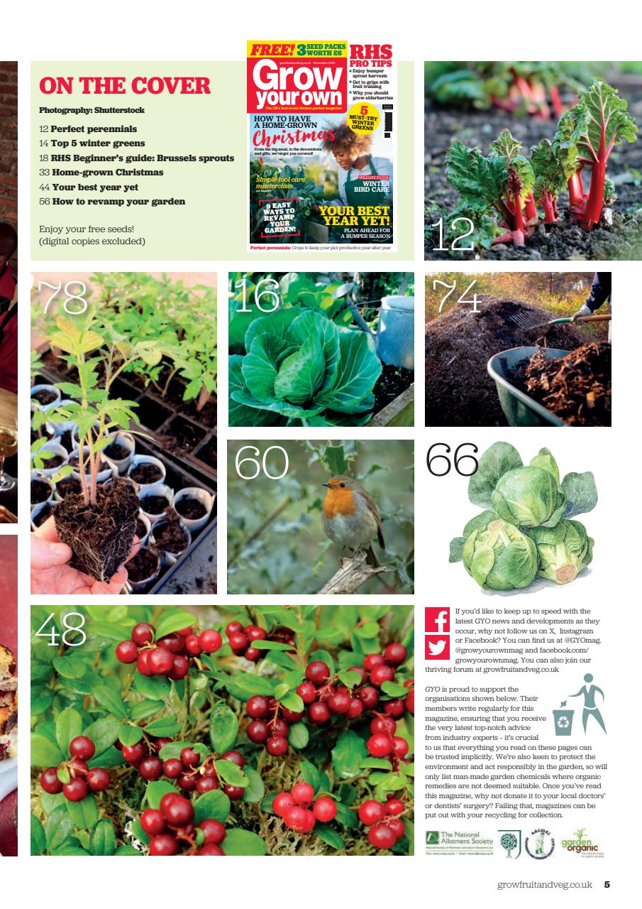 Grow Your Own Preview Pages