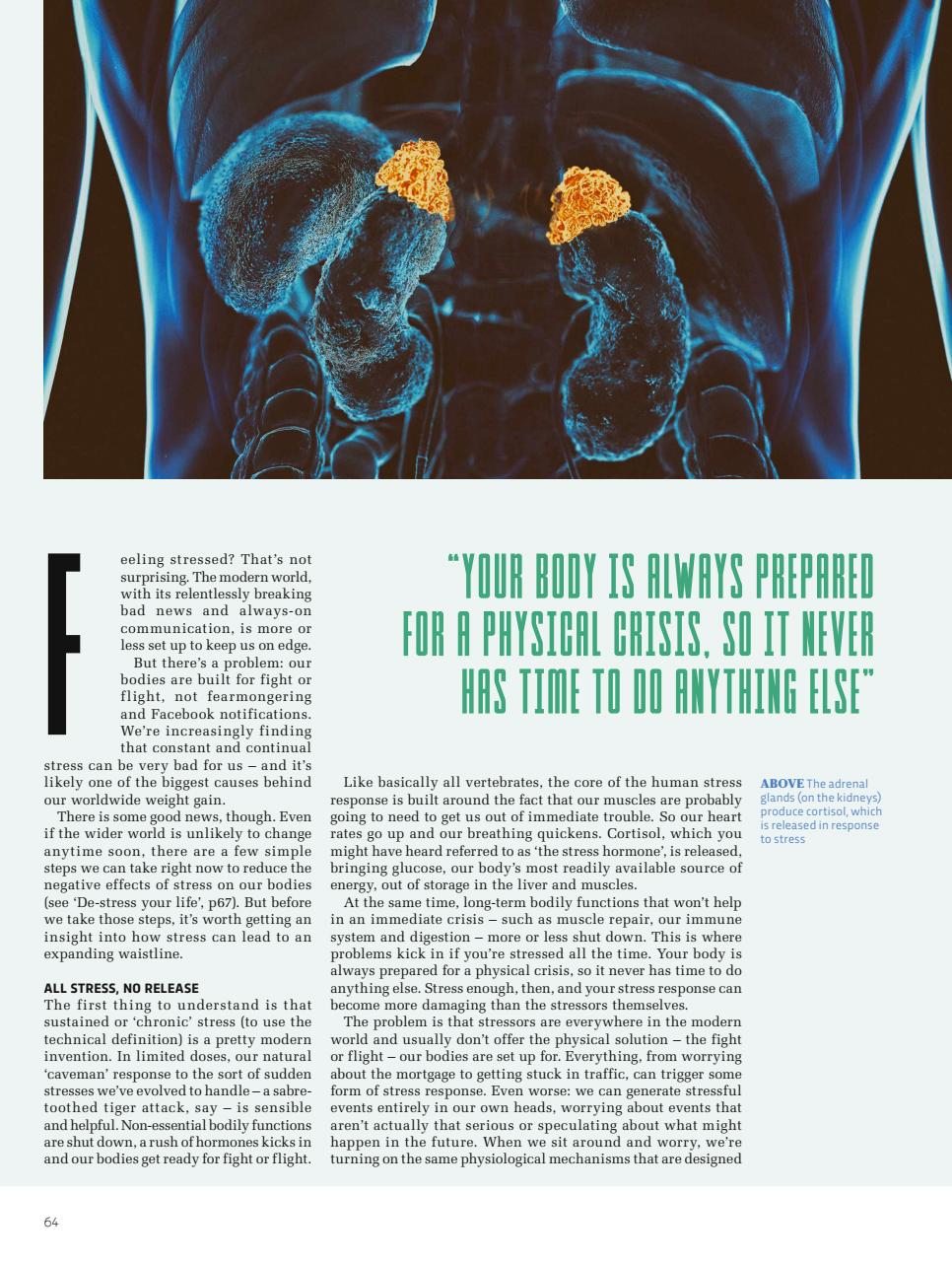 BBC Science Focus Magazine Preview Pages