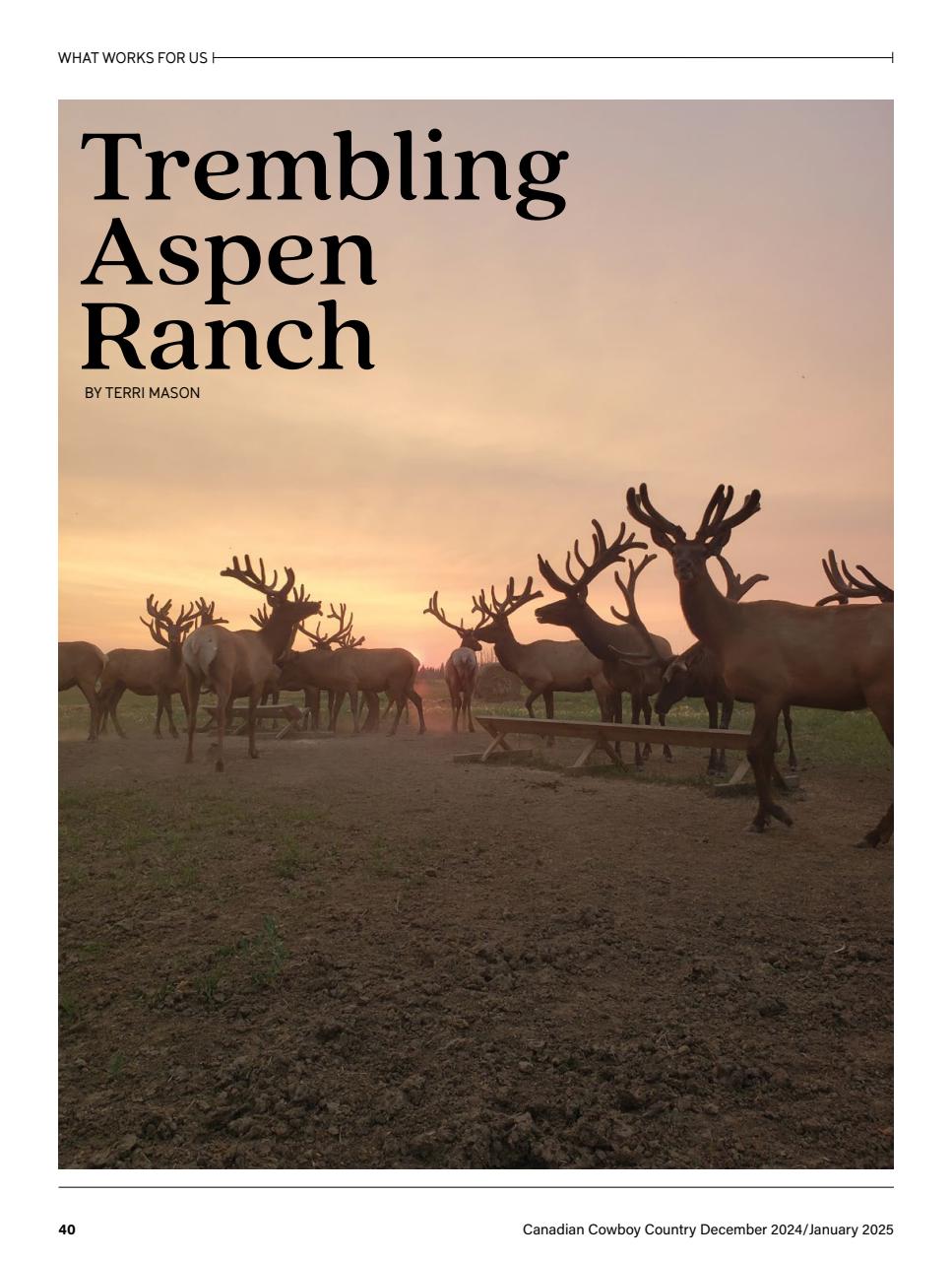 Canadian Cowboy Country Preview Pages