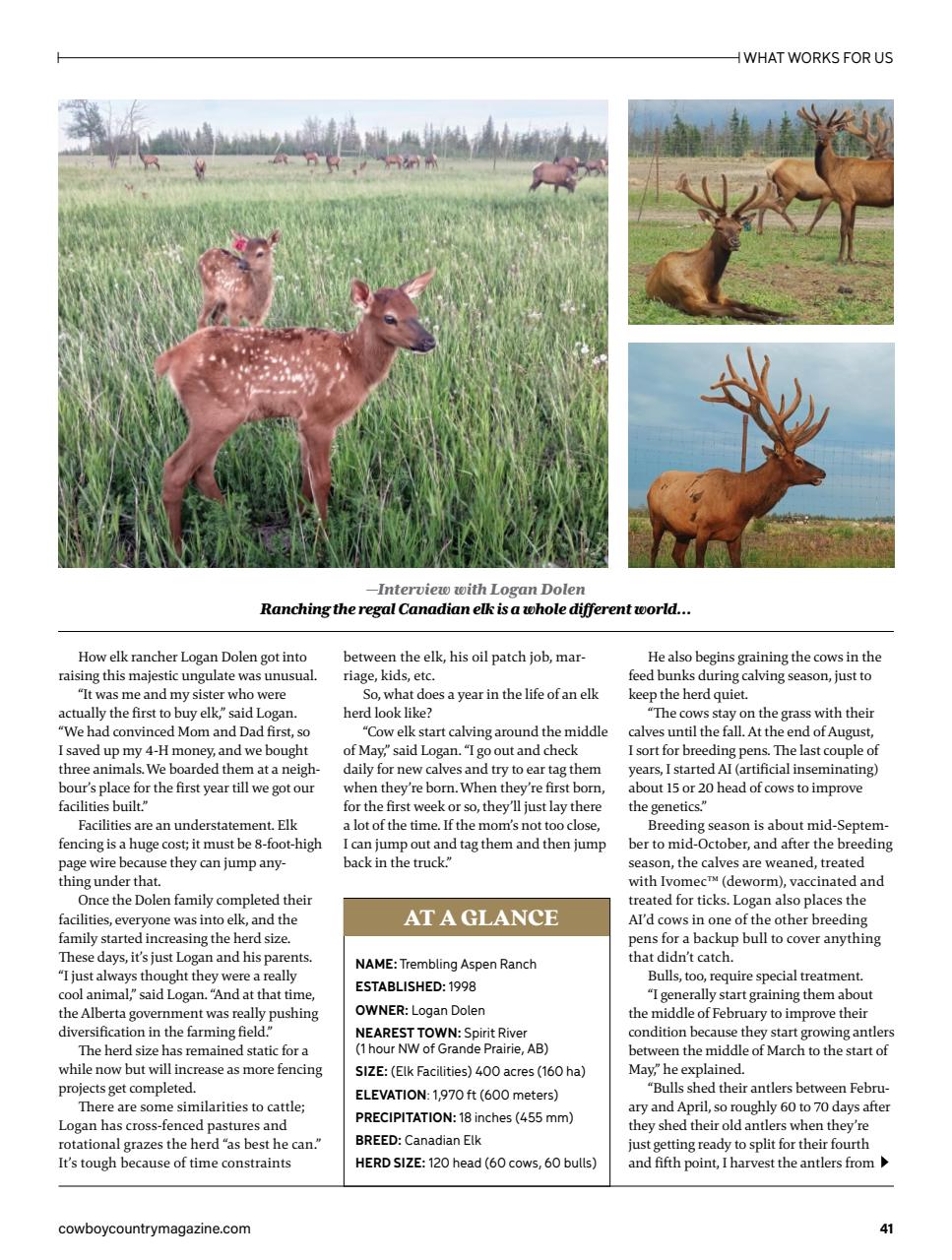 Canadian Cowboy Country Preview Pages