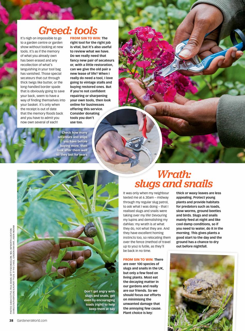 BBC Gardeners’ World Magazine Preview Pages
