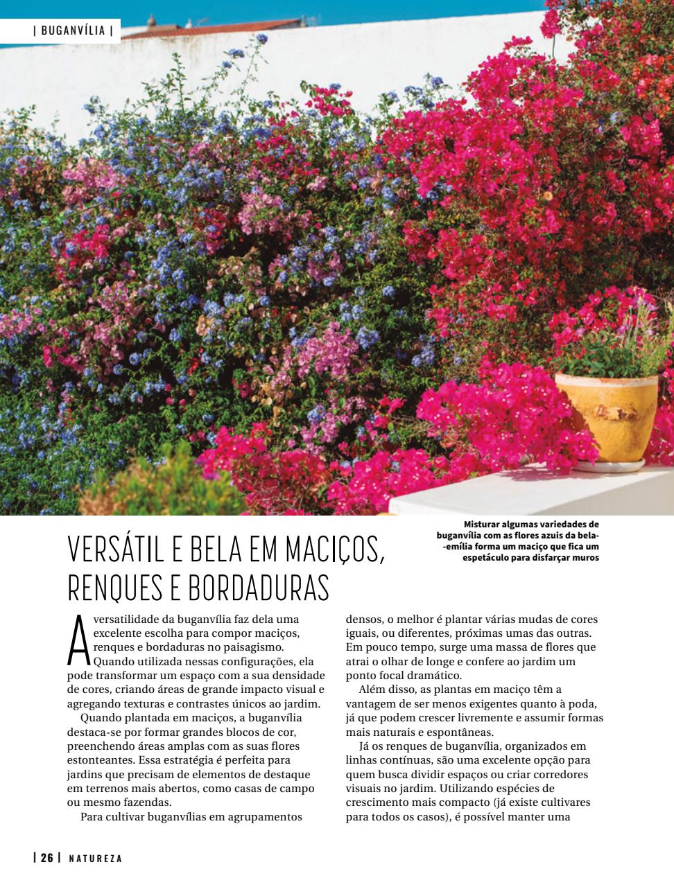 Natureza Preview Pages