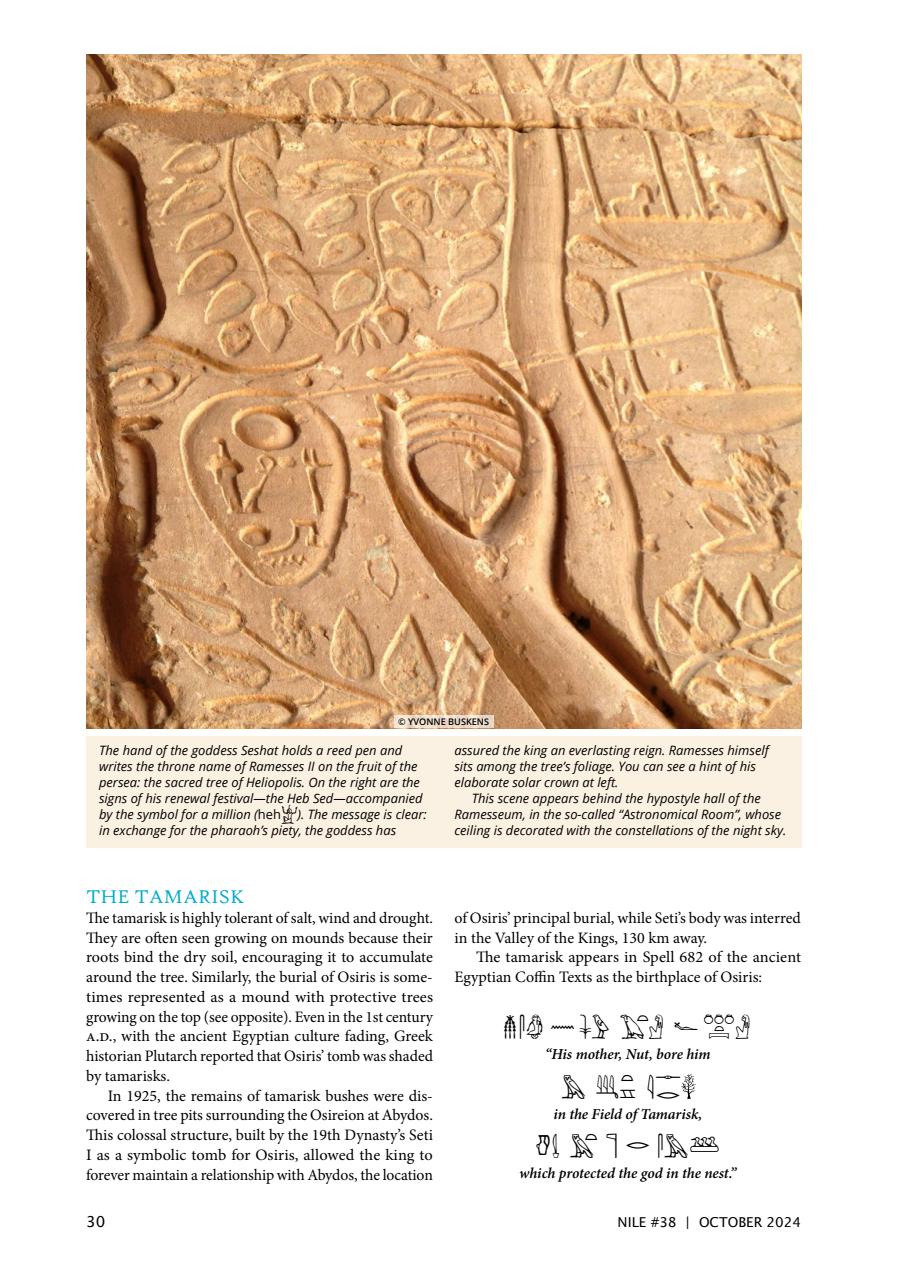 Nile Magazine Preview Pages