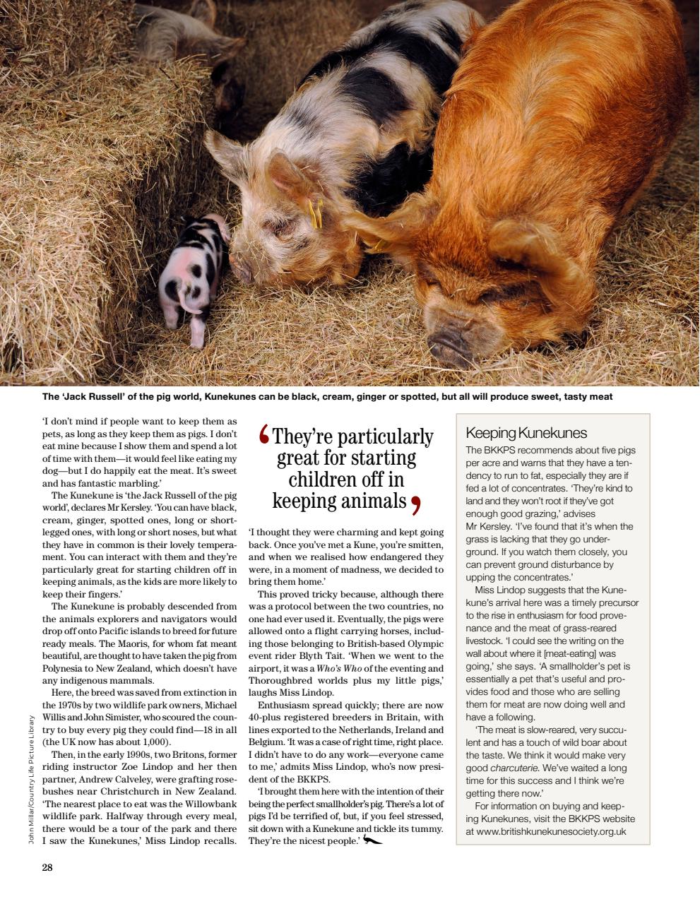 Country Life Bookazine Preview Pages