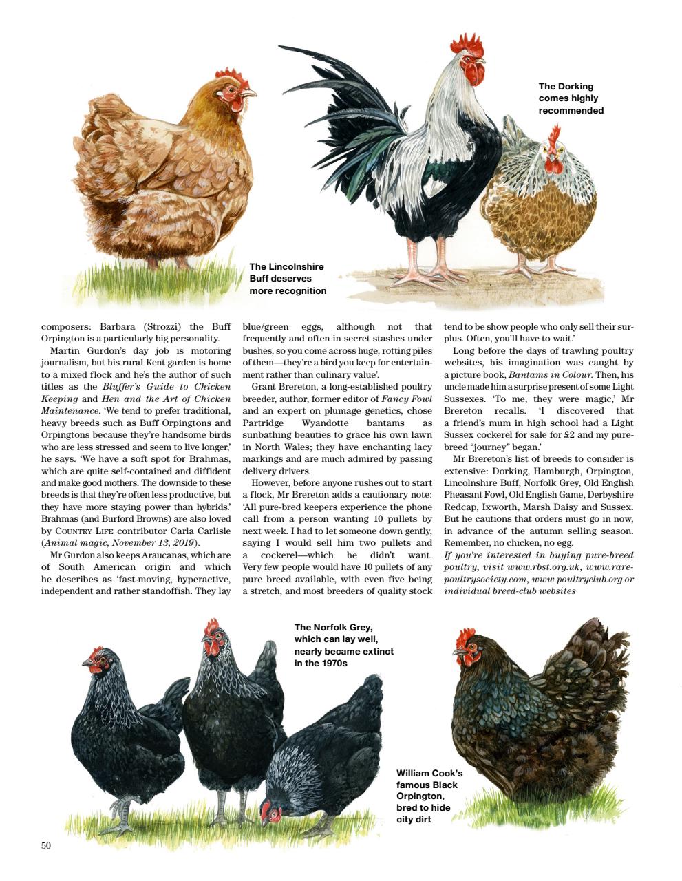 Country Life Bookazine Preview Pages