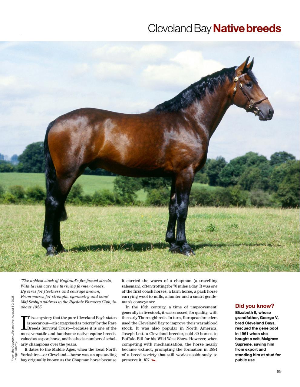 Country Life Bookazine Preview Pages