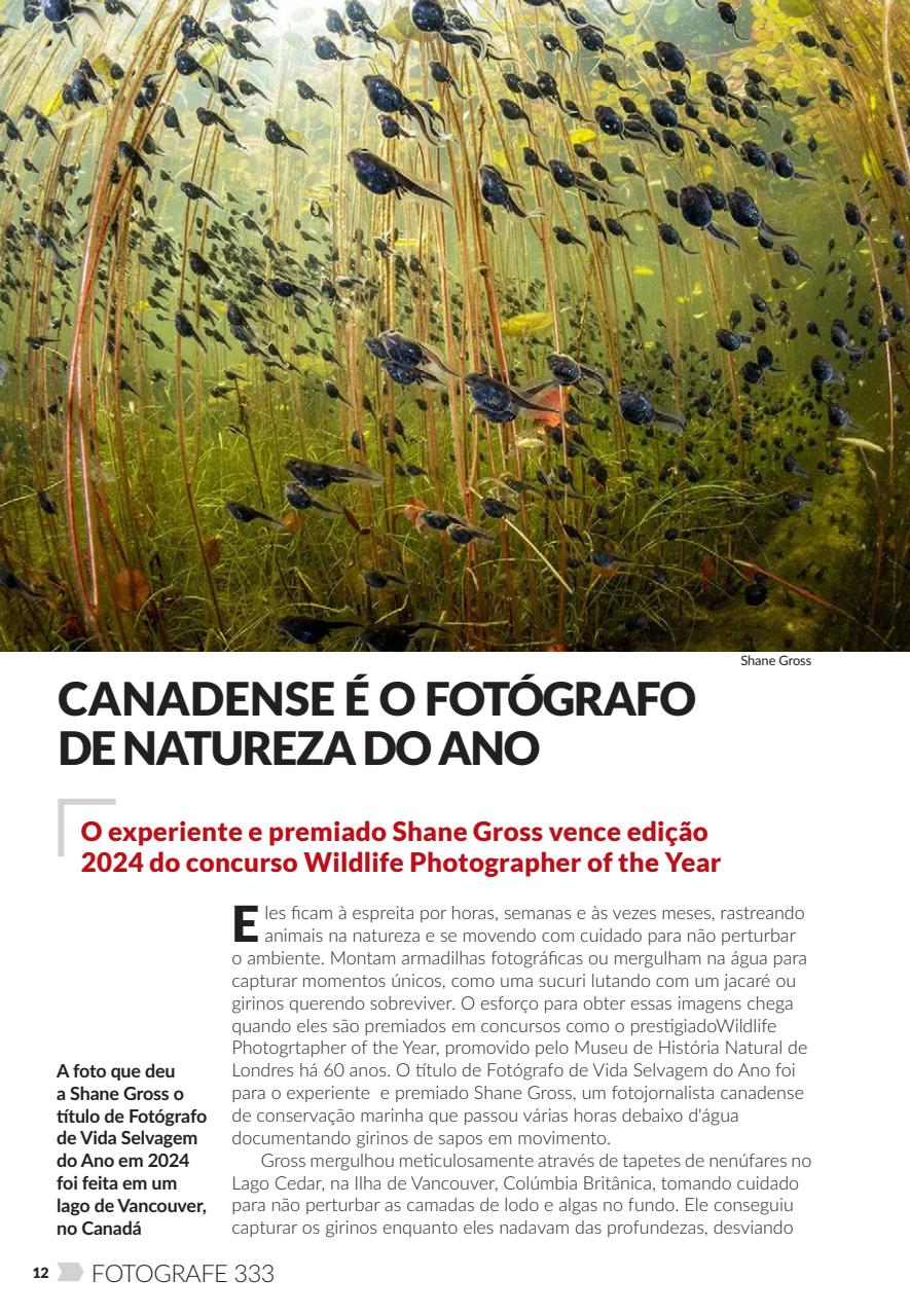 Fotografe Preview Pages