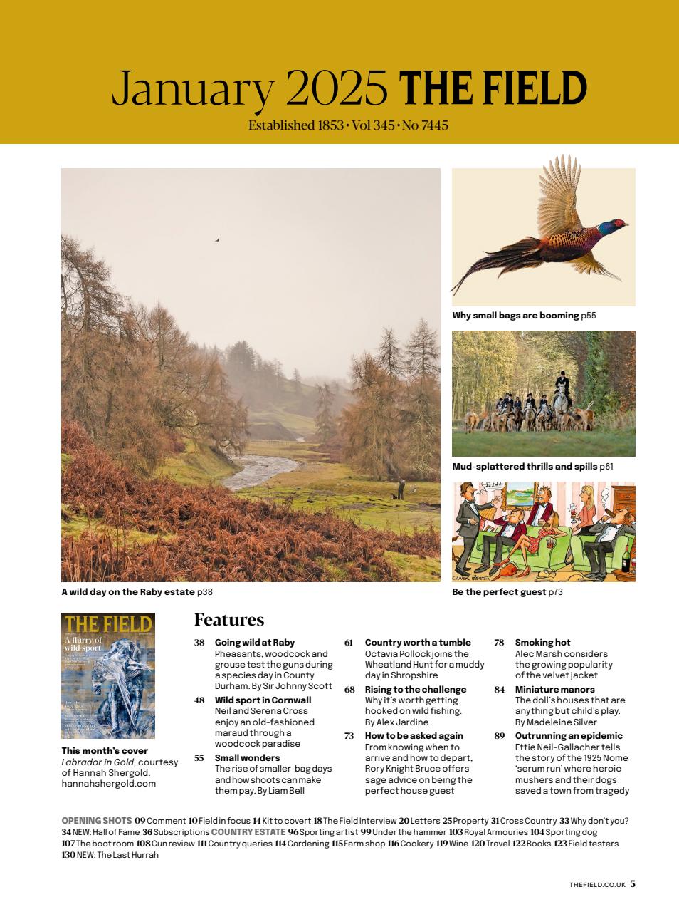 The Field Preview Pages