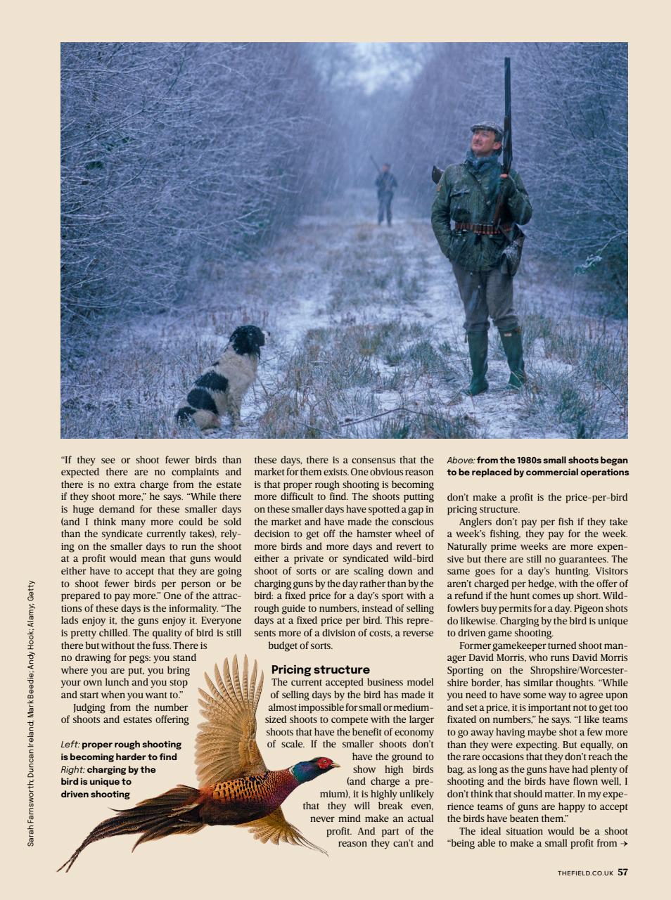 The Field Preview Pages