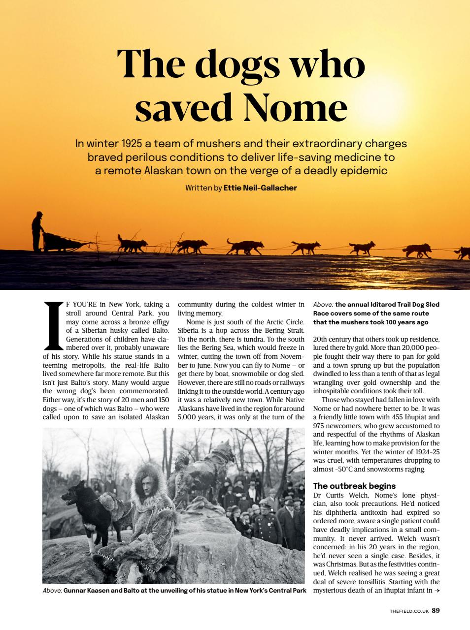 The Field Preview Pages