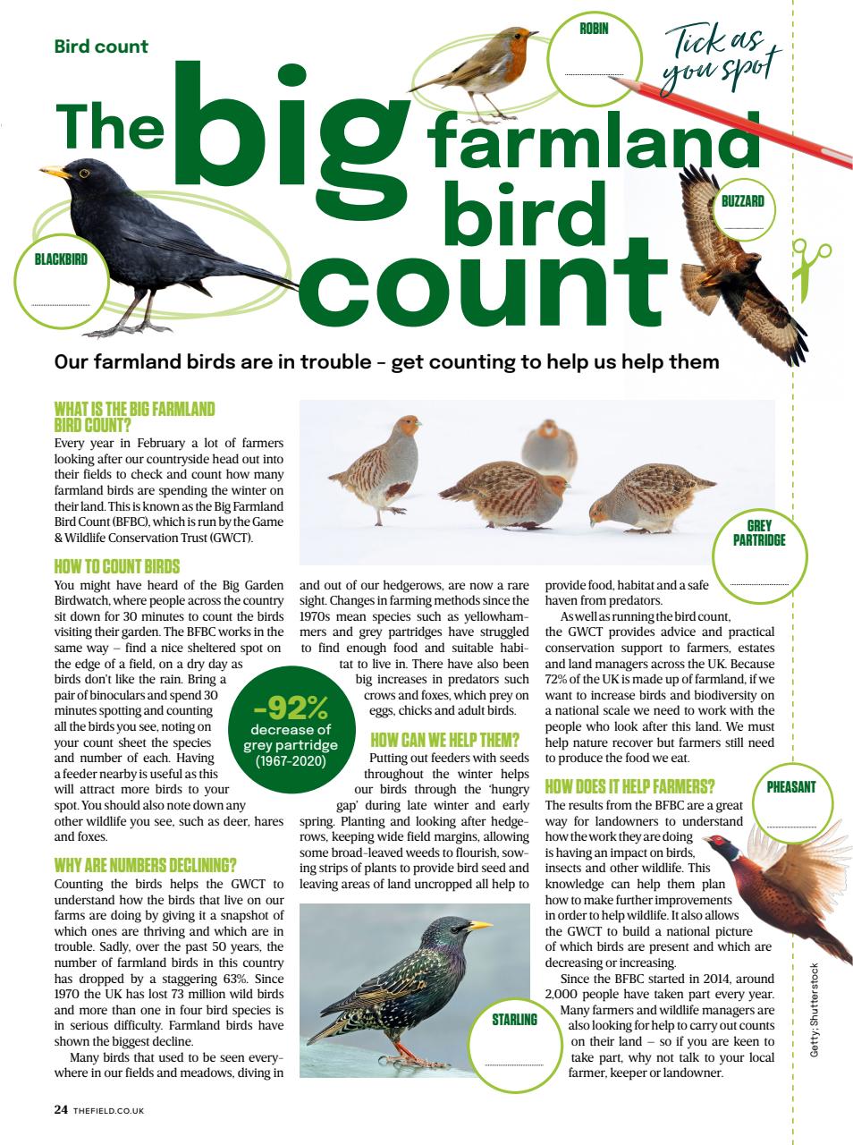 The Field Preview Pages