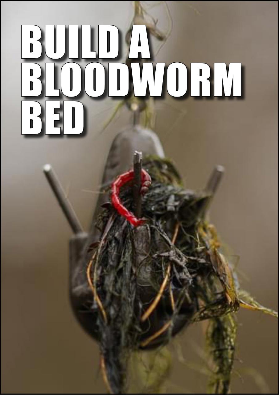 Big Carp Magazine Preview Pages