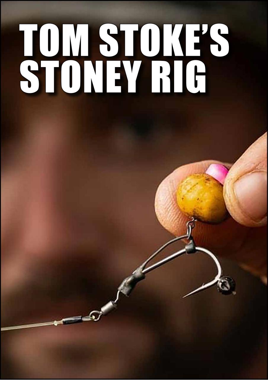 Big Carp Magazine Preview Pages