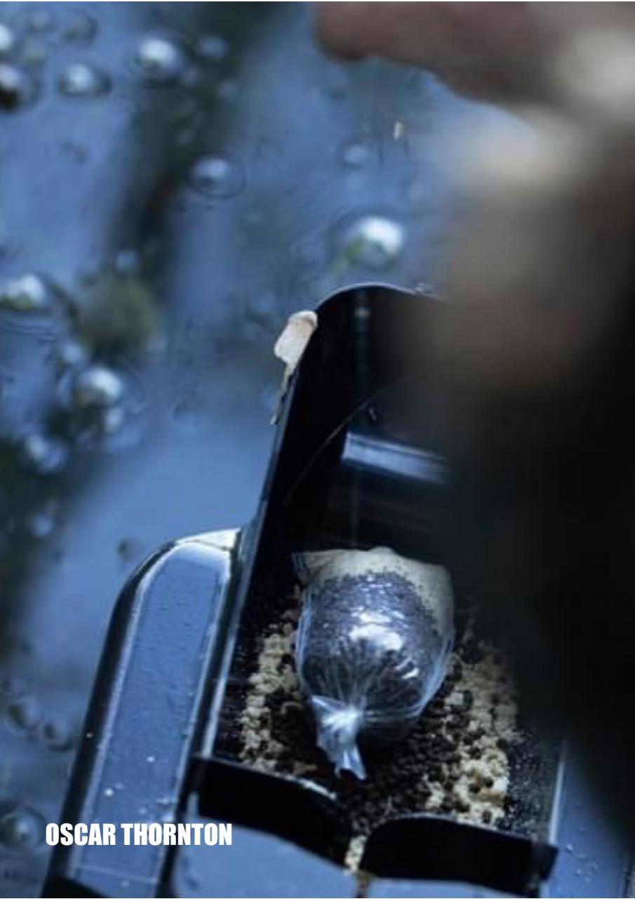 Big Carp Magazine Preview Pages