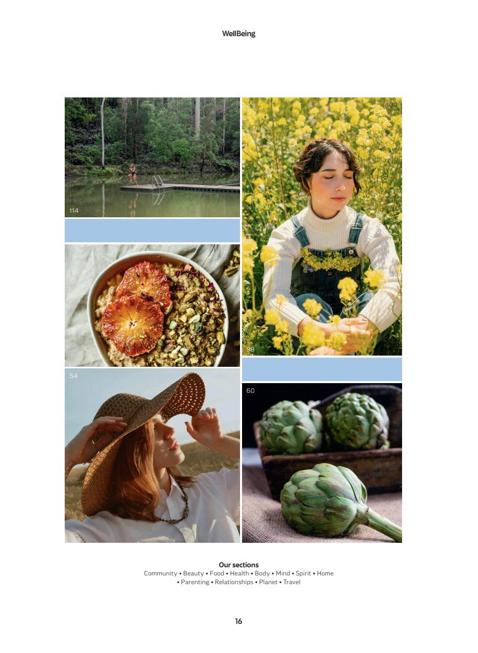 WellBeing Preview Pages