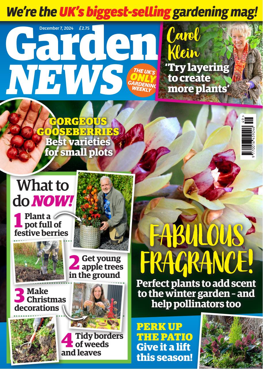Garden News Preview Pages