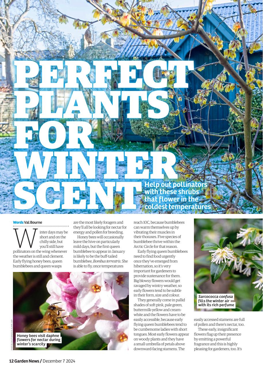 Garden News Preview Pages