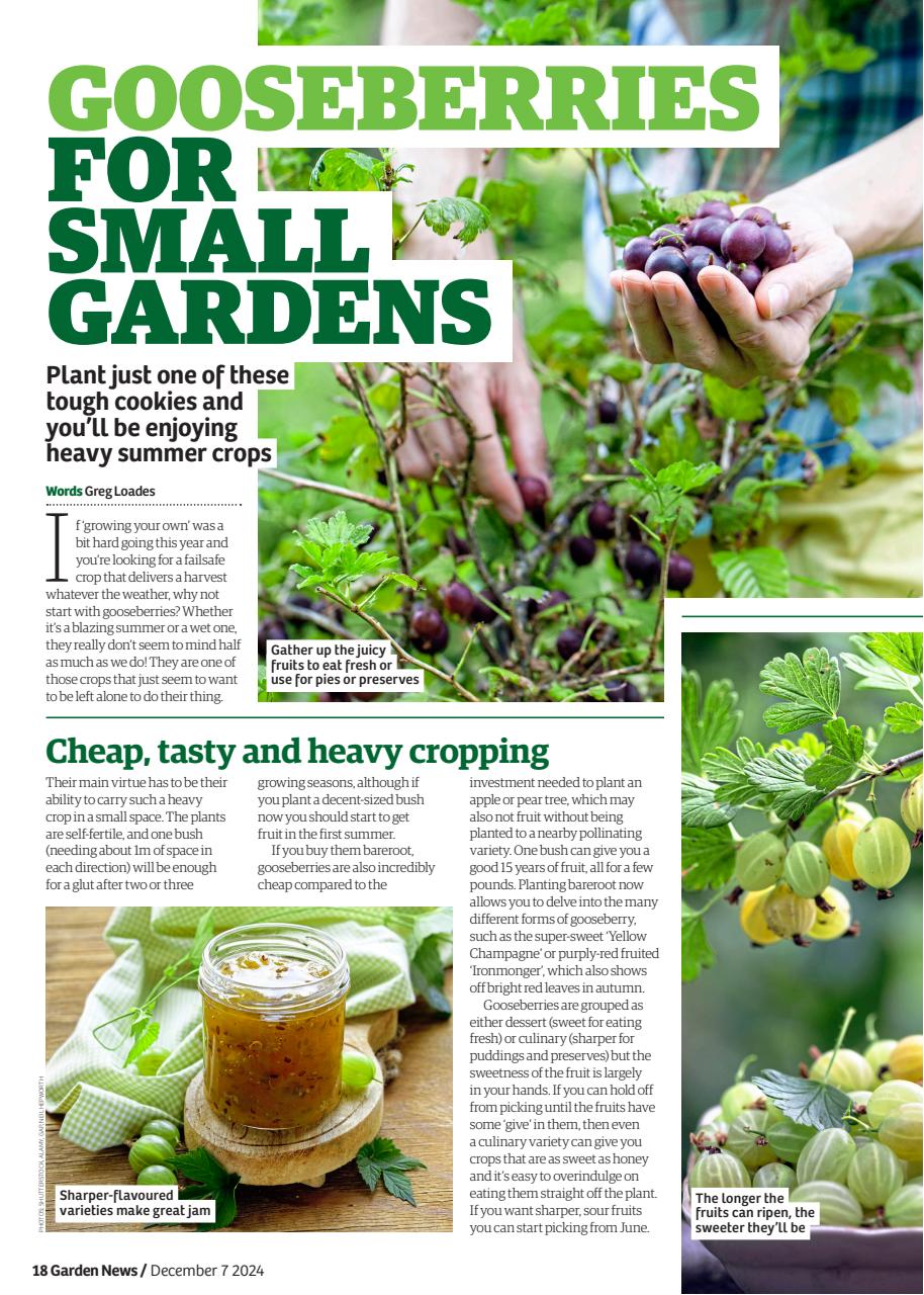 Garden News Preview Pages