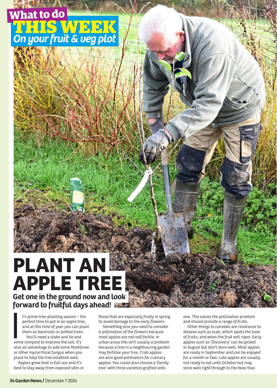 Garden News Preview Pages