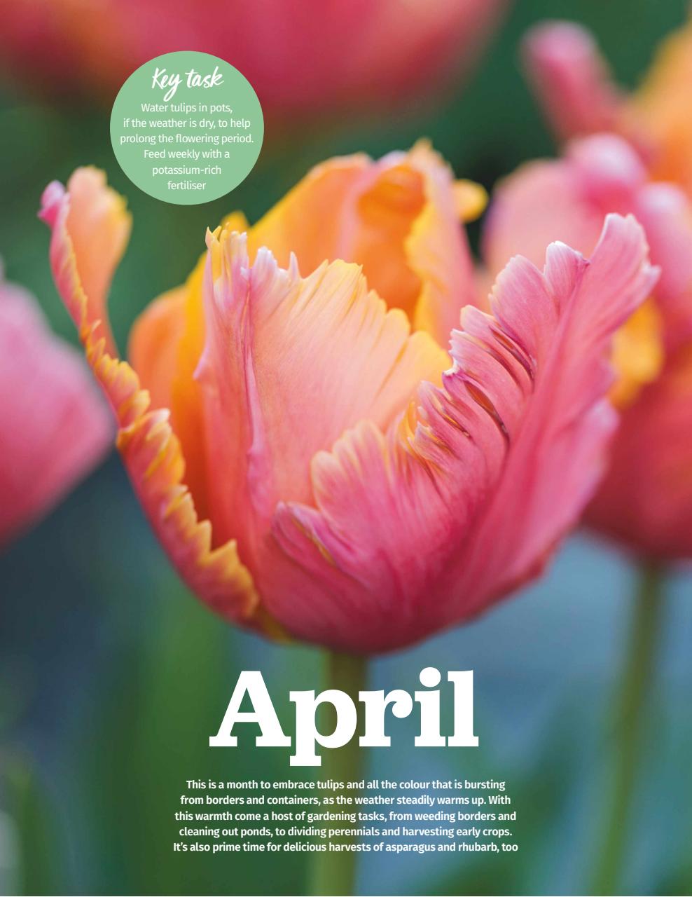 BBC Gardeners’ World Magazine Preview Pages