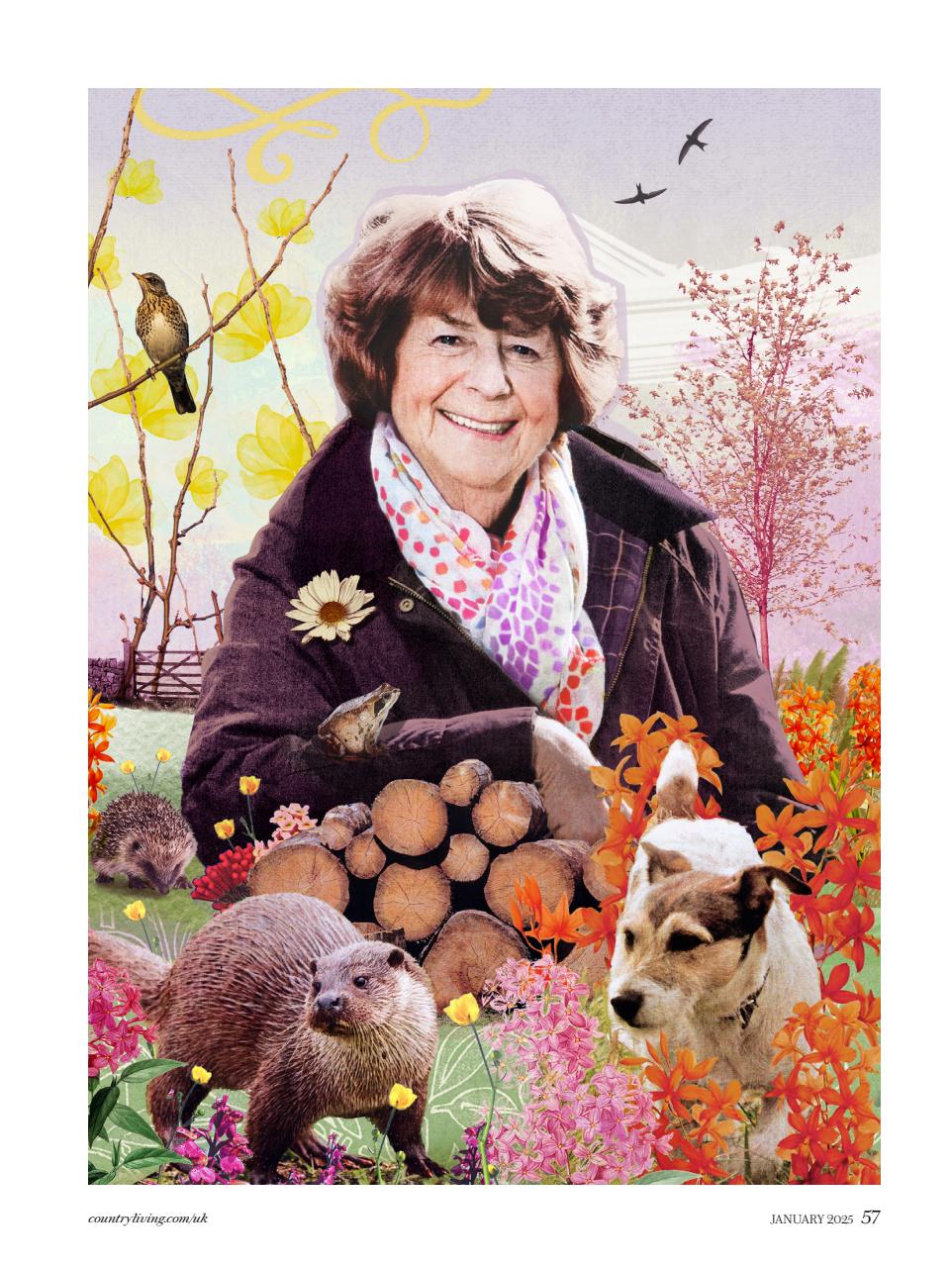 Country Living Preview Pages