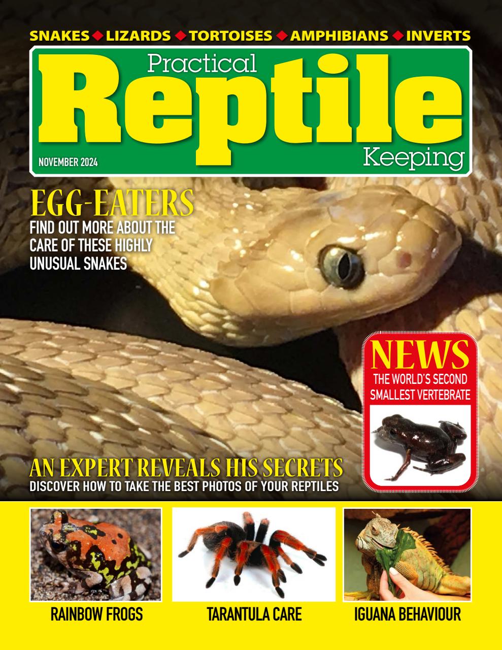 Practical Reptile Keeping Preview Pages