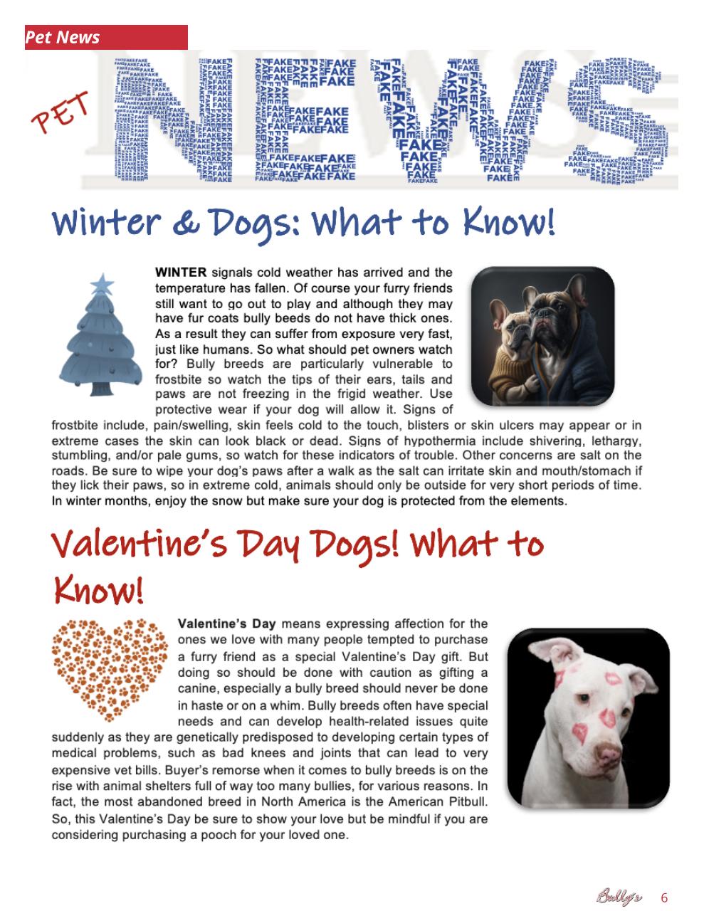 Bully’s - The Bulldog Magazine Preview Pages