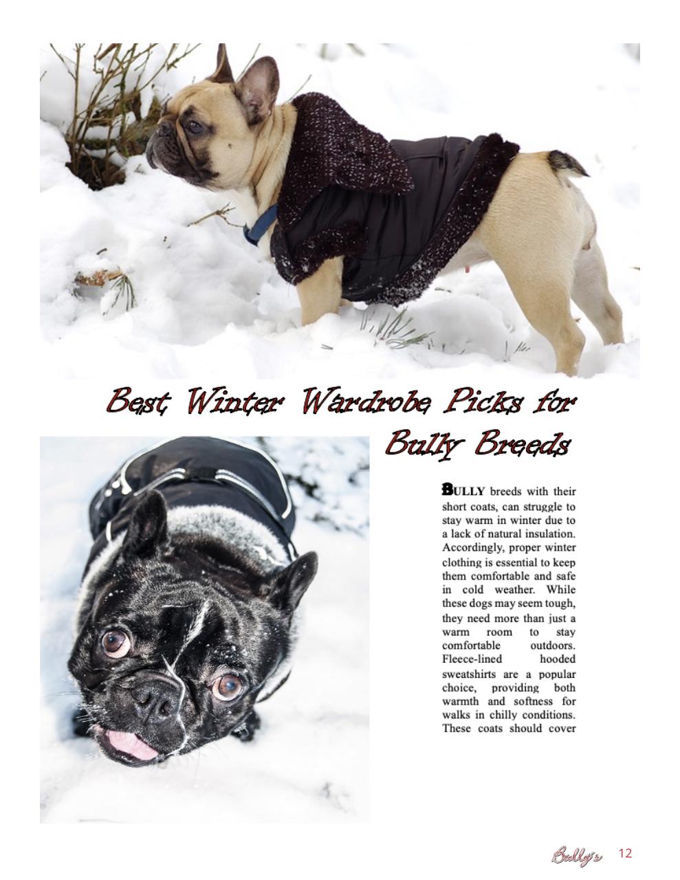 Bully’s - The Bulldog Magazine Preview Pages